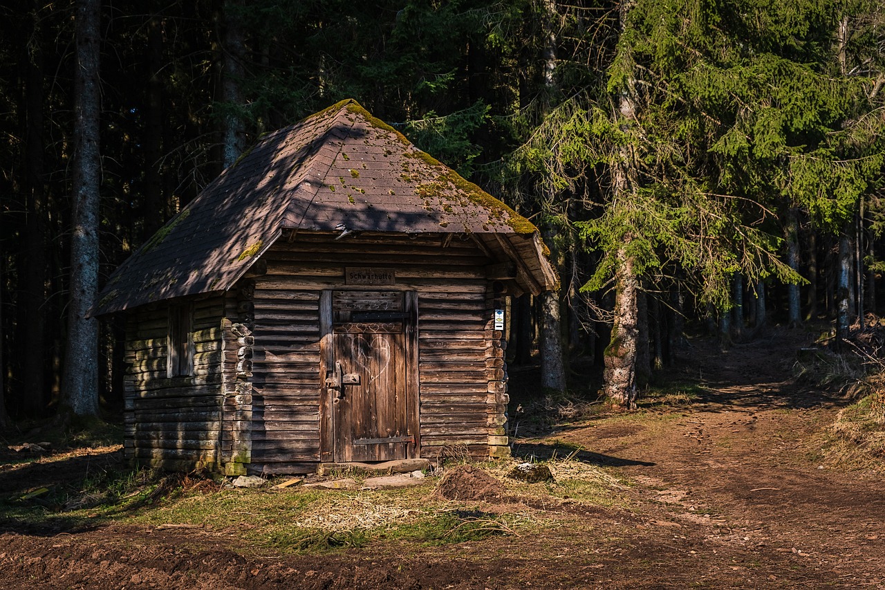 Denna lilla stuga hittade jag i skogen dvs naturen. Ser ut som stugan som häxan bodde i ni vet Hans och Greta sagan.